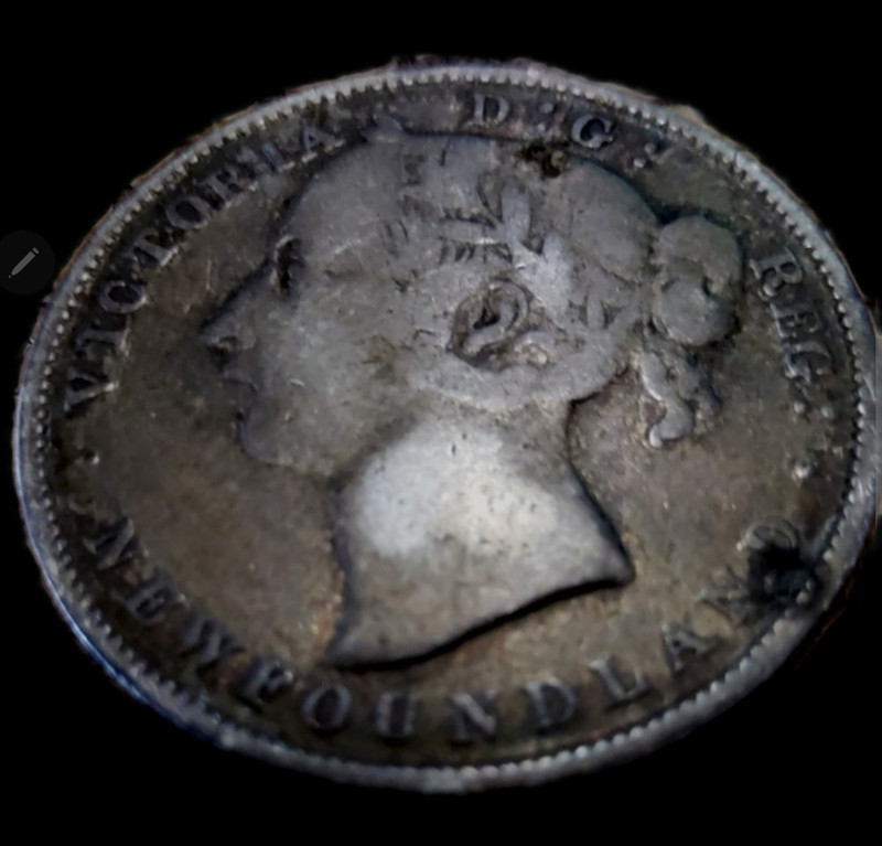 1896H NewFoundland 20 Cent