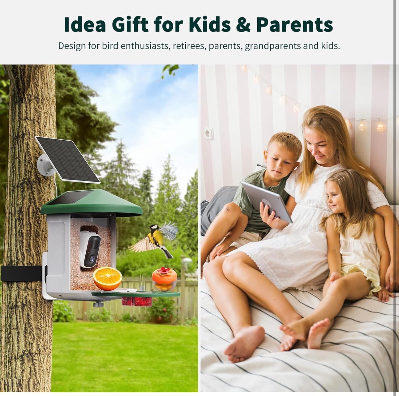 Bird Feeder with Camera with AI Identify Bird Species Solar Panel, Smart Bird -