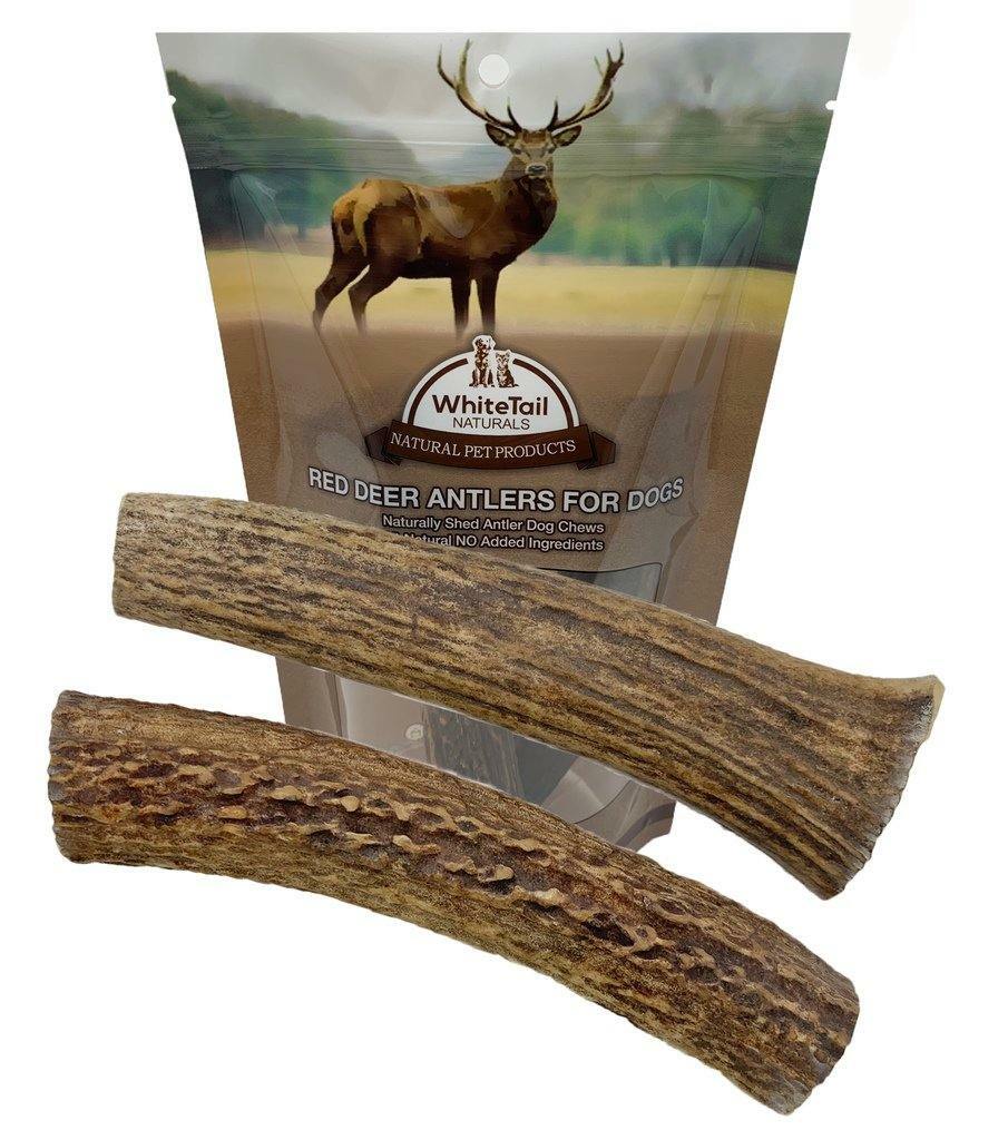 Are Fresh Deer Antlers Good For Dogs