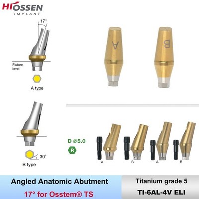 17° Angulated Anatomic Abutment Hex A/B for Osstem TS D5.0 Ti Regular Platform