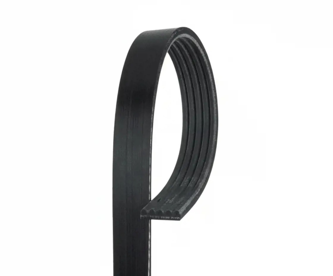 Gates Bmw 3 (E46) 3 Touring (E46) 5 (E39) 5 Touring (E39 5Pk2030 - Immagine 2