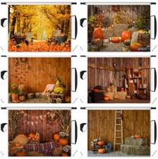 Thanksgiving Rustic Wood Harvest Pumpkin Photo Background 10X8FT Vinyl Backdrop