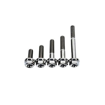 VividTi - M6 x 1.0 x 17 22 30 35 50 TITANIUM Bolts raw or burnt available ! 6 pt