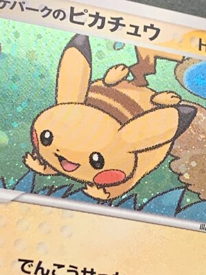 Pokemon card Pokepark's Pikachu 004/009 Promo 2005 Pokémon