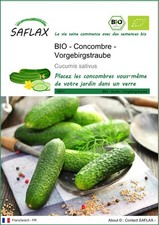 SAFLAX - BIO - Concombre - Vorgebirgstraube - 15 graines - Cucumis