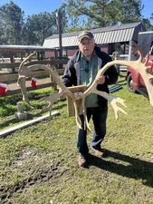 Set of Woodland Caribou Antlers Near Record Book Vintage 1950’s