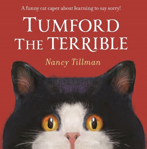 Tumford the Terrible by Nancy Tillman (Paperback Book) - Image 8