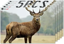 23" X 35" Highly Visible Non-Reactive Animal Shooting Paper Target, Big Game Rea