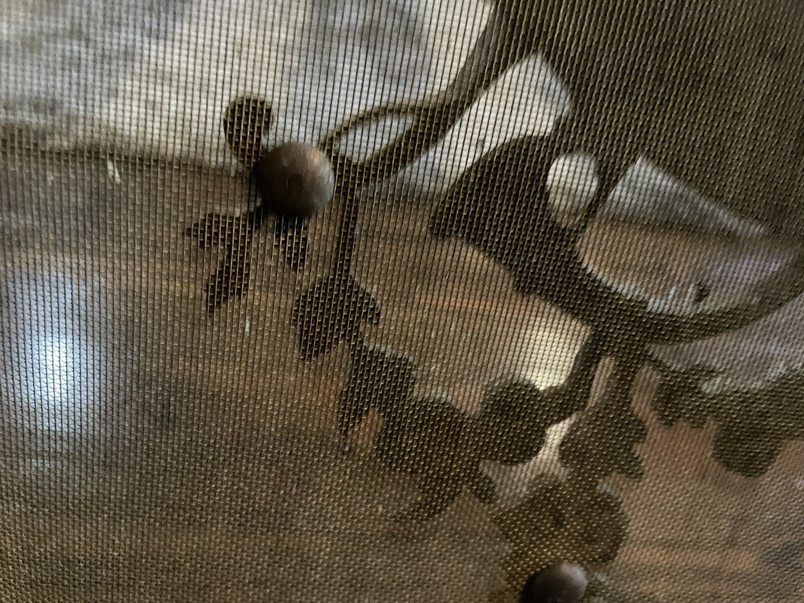 Picture 6 of 12