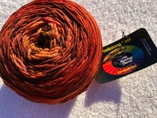 Done Roving Frolicking Feet Gradient DK yarn - 30% Off!