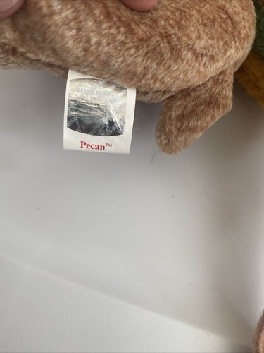 ty beanie babies raro - becco 1998 e raro orso pecan - Foto 3 di 8