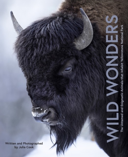 Wild Wonders: The Untamed and Enigmatic Animals that Inhabit Yellowstone National Park - Image 3