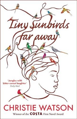 Tiny Sunbirds Far Away: Gewinner des Costa First Novel Award, vom Autor