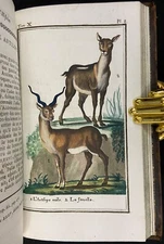 Antique 1787 BUFFON Natural History 15 HAND COLORED PLATES Leather Zoology Book