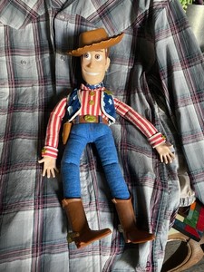 Stars and Stripes Woody | eBay