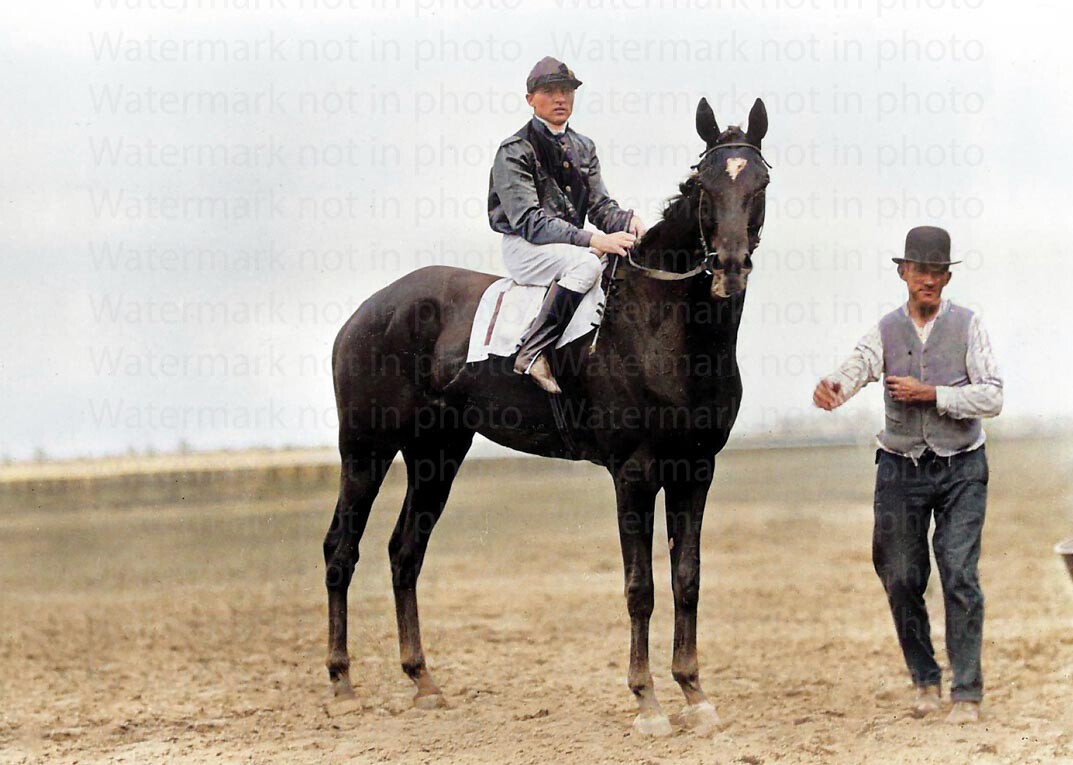 Exterminator Horse 1918 Kentucky Derby Winner RARE COLOR Photo 300 eBay