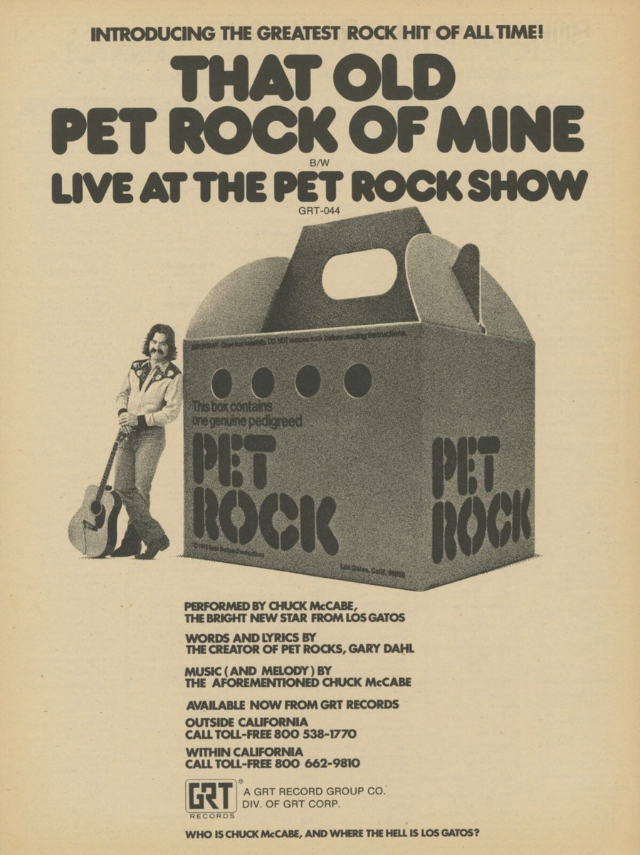 Pet Rock Original Promo Ad, Mounted w/Magnetic Frame! | eBay