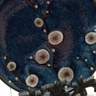 Foto 12 di 12