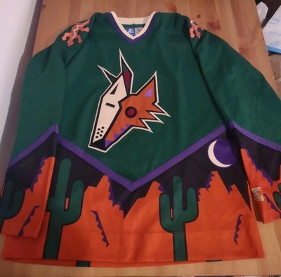 Vintage 90s Phoenix Coyotes Alternative Kachina Starter Jersey