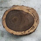Bild 9 von 9