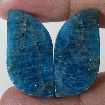 43.70 Ct Natural Excellent Quality Blue Apatite Cabochon Matched Pair Loose Gems