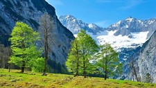 Landscape nature alps trees mountains Custom Gaming Mat Desk