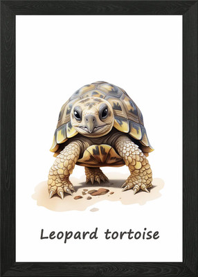 Leopard Schildkröte Tier gerahmtes Wandbild Poster Leinwanddruck Bild