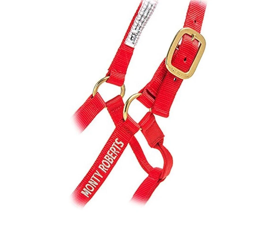 Premium M Onty Roberts Offizielles Training Halfter Schulhalfter Standardhalfter - Bild 2 von 4