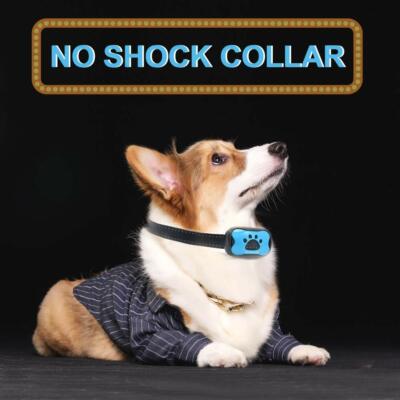 BEST No Shock Dog Bark Collar Safe Vibrating No Harm Training Anti-Barking  NEW | eBay