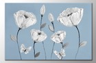 Bild 3 von 3