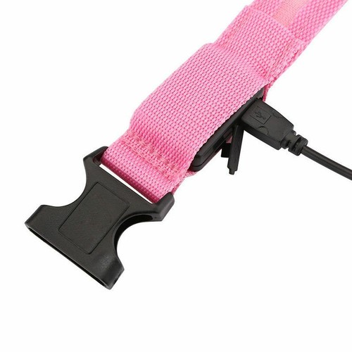 USB Rechargeable Pet LED Light Up Glow-In-The-Dark Collar Dog Night Safety Micro - 第 12/18 張圖片