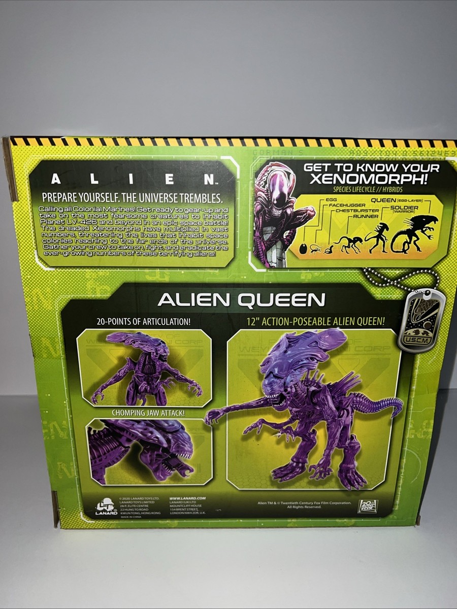 2020 LANARD TOYS--12