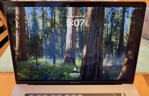2019 MacBook Pro 15" (256GB SSD, Intel Core i7 9th Gen, 2.6GHz, 16GB) Laptop - - Picture 4 of 16