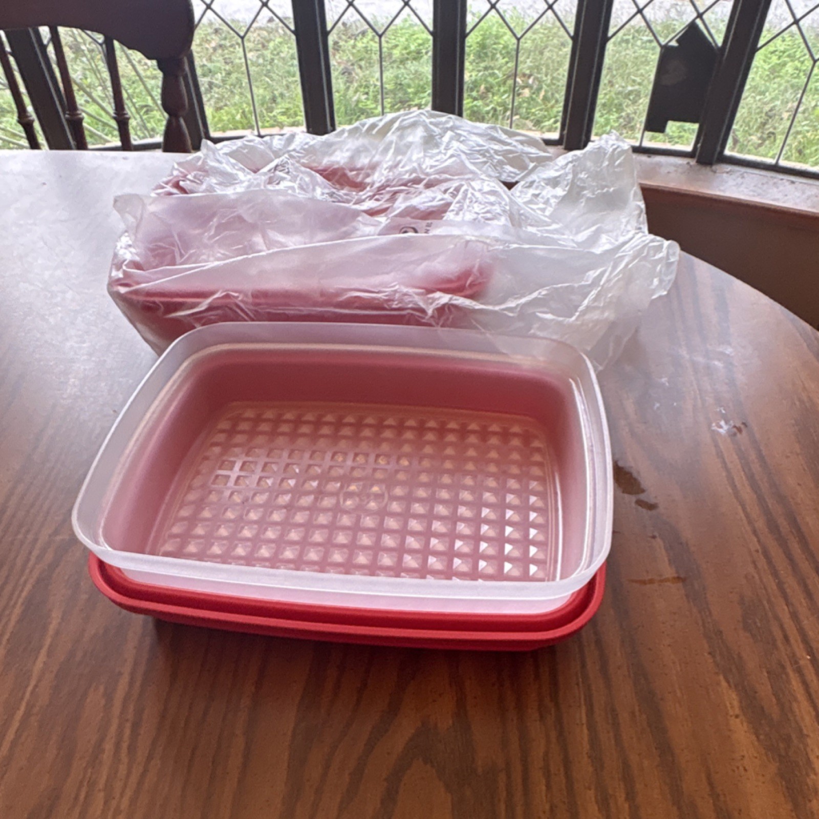 Tupperware 2-Piece Red & Clear Plastic Rectangular Storage Set Snap Lids
