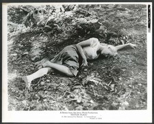 Hope Lange lying on ground Peyton Place 8x10 photograph 1957