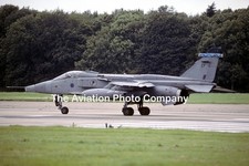 RAF 6 Squadron Sepecat Jaguar GR.3 XZ369 at RAF Coltishall (2004) Photograph