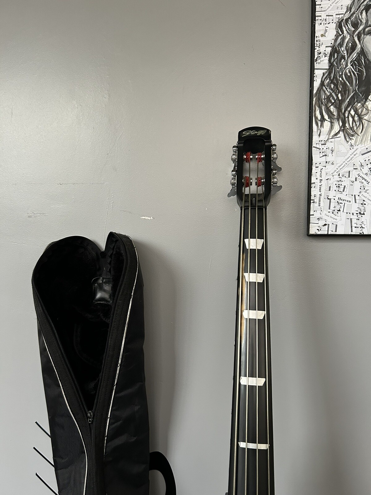 STAGG HDB200 3/4 size electric double bass + gigbag eBay