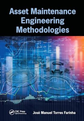 Farinha - Asset Maintenance Engineering Methodologies - paperback or s - X555z
