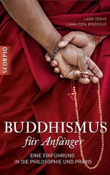 Buddhismus für Anfänger: Eine Einführung in die Phi... | Buch | Zustand sehr gut