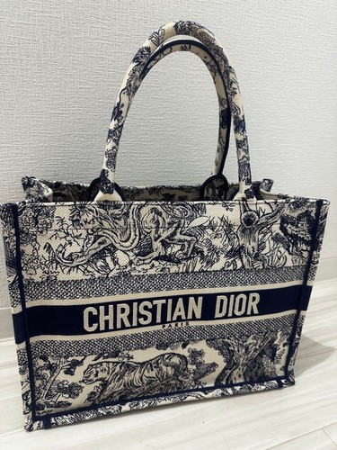 Christian Dior Book Tote Small Bag