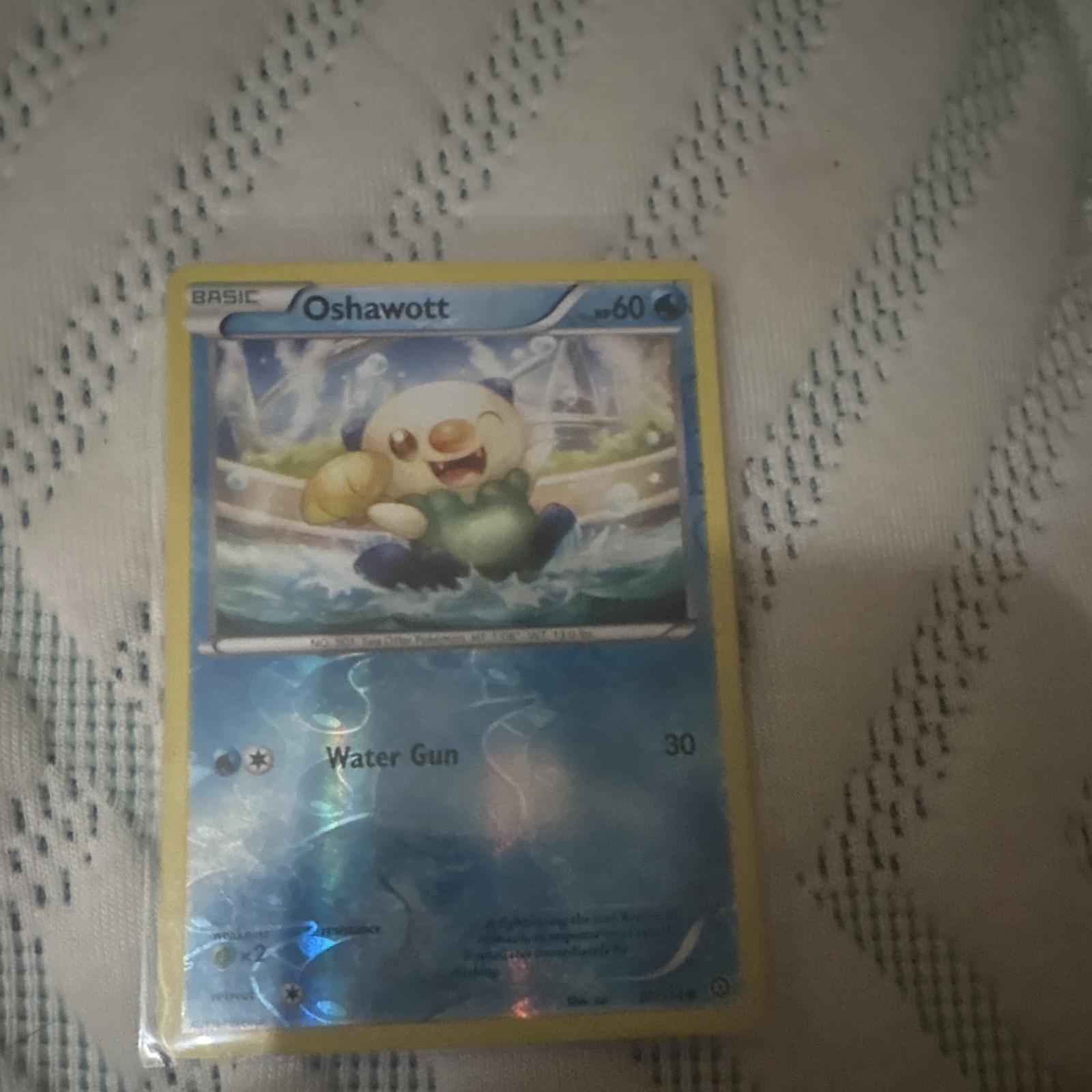 The Pokémon Company Oshawott BW08 BW Black Star Promo Holo EN 60 HP (2011)