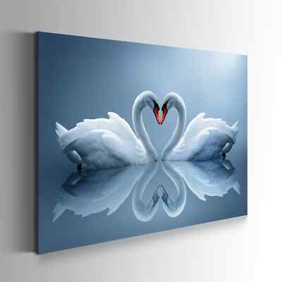 Swan Love on Blue Water Wandbild XXL Canvas Leinwand Poster Acrylglas Wohnzimmer