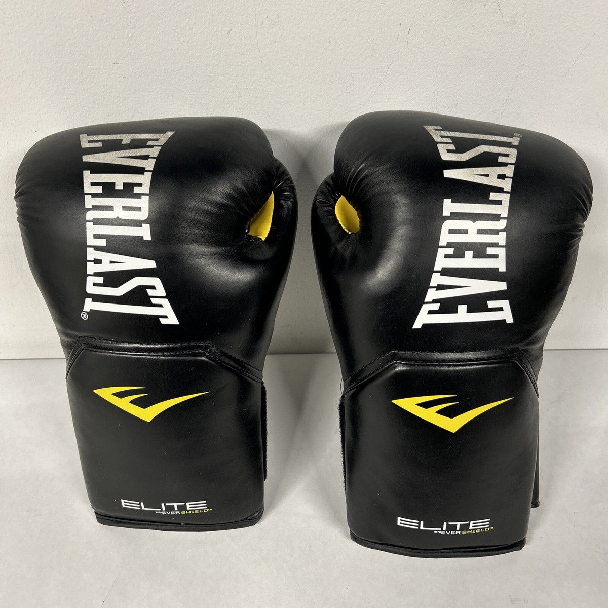 Everlast Elite Pro Style 16oz Training Boxing Gloves Bag