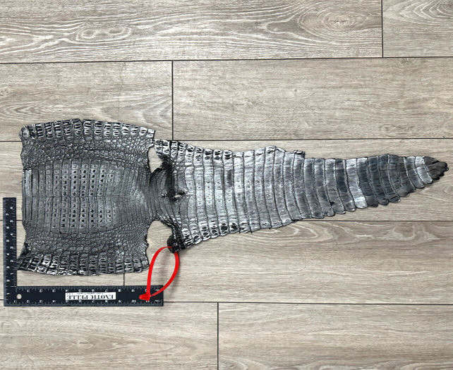 Silver Holographic Genuine Caiman Crocodile Belly Hide Leather Skin Alligator 74