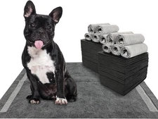 Charcoal Dog Training Pads 100 Count, 22"x22" Puppy Pee Pads for Small Dogs,...