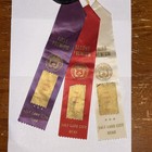 BSA 1962 Pinewood Derby Champion Chalk Plaque W/ 1st, 2nd, & 3rd Premium Ribbons — photo 4