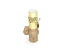 GOETZE 618T-PTFE VALVE