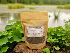 Organic Herb-Robert (Geranium robertianum) Lab-proven Quality - Botanical Remedi