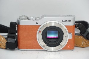 GF 9 Panasonic | eBay