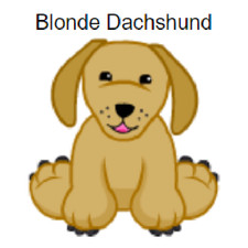 Webkinz Classic Blonde Dachshund Code Only  messaged 